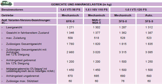 * Die gebremste Anhängelast kann unter Einhaltung des zulässigen